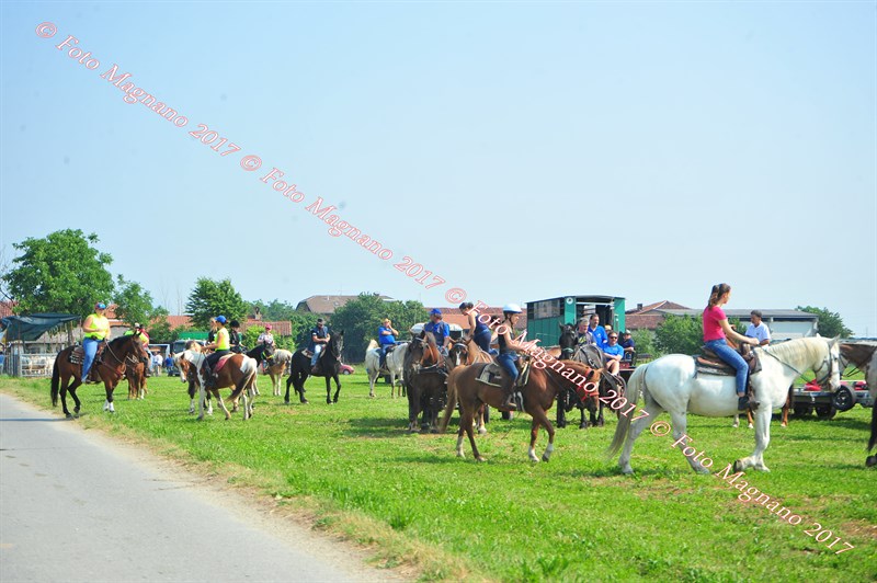DSC_0736.JPG